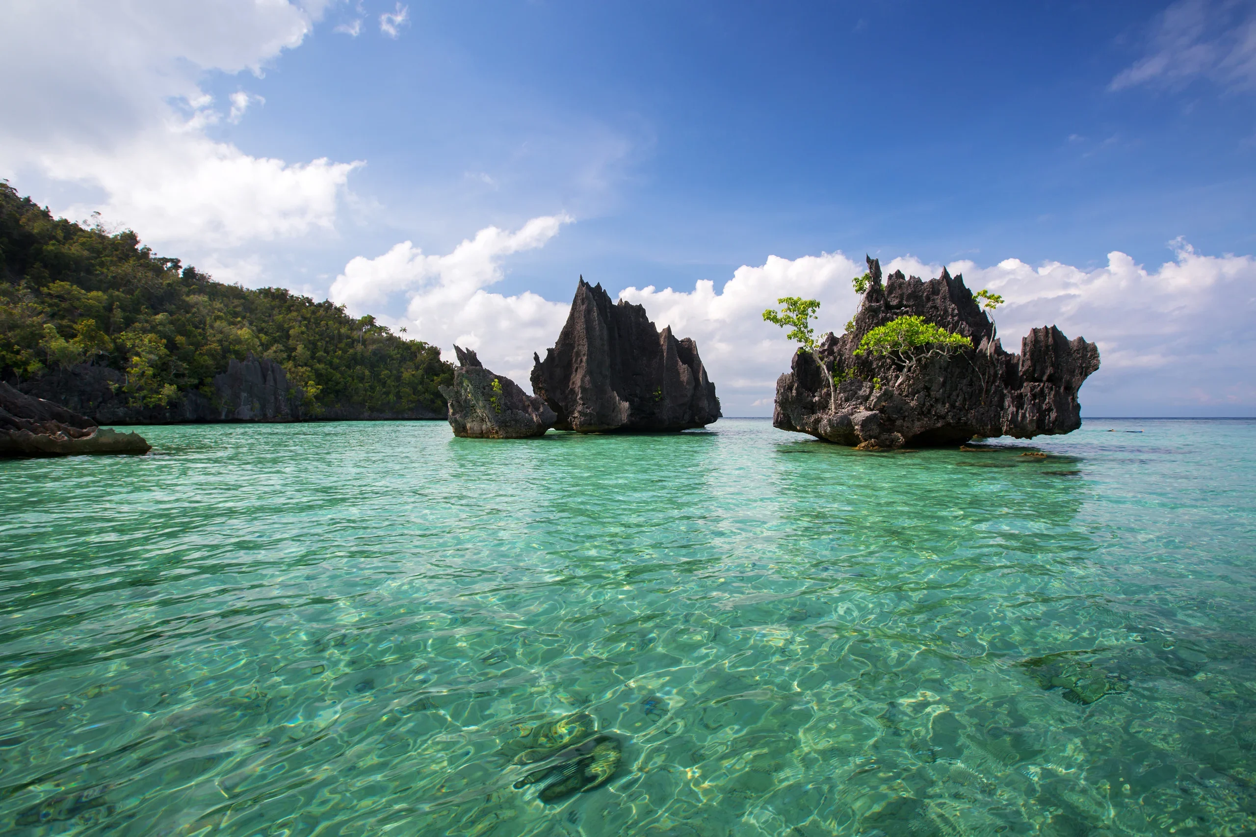 Yacht Charters in Papua New Guinea