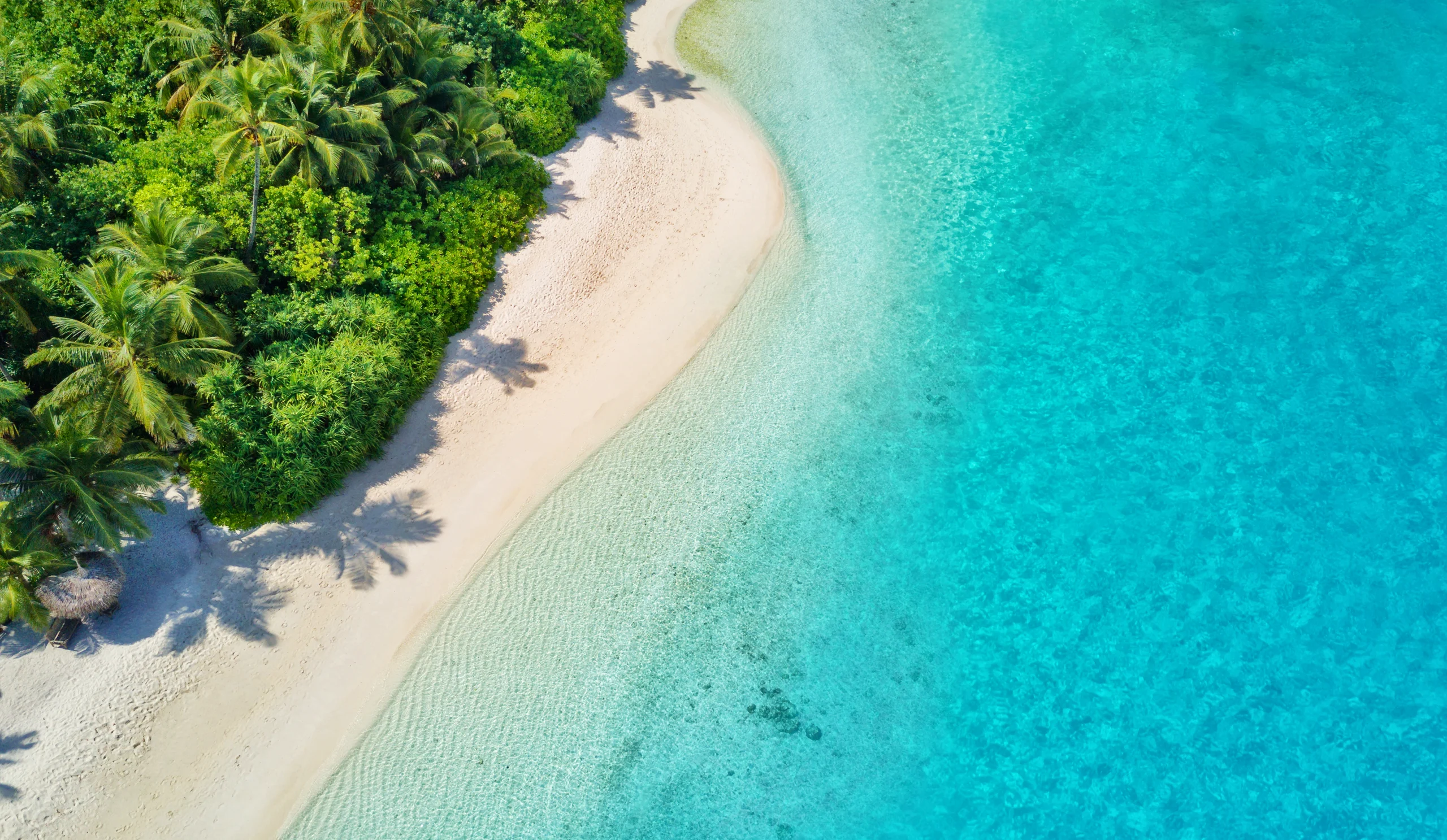 Yacht Charters in Seychelles