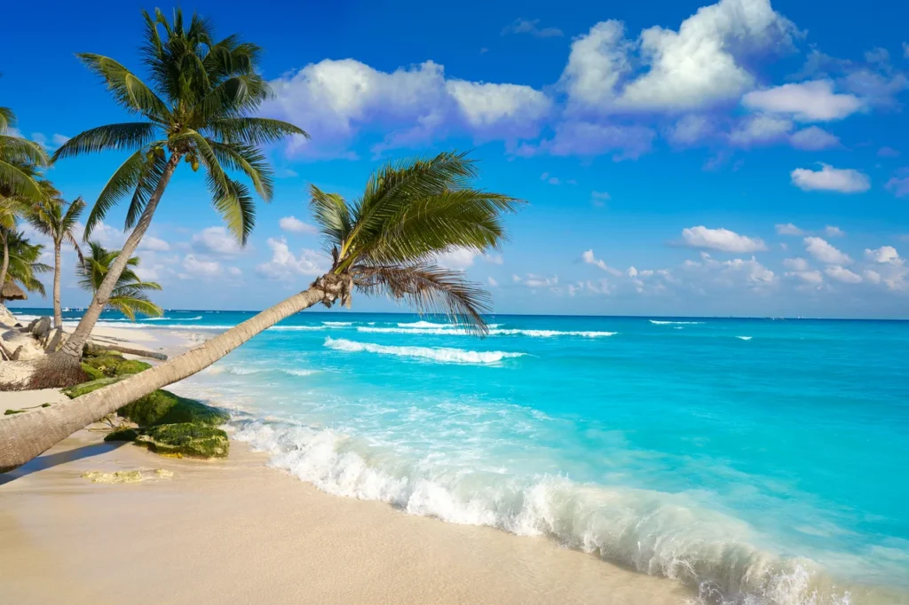 playadelcarmen,mexico, yacht charter