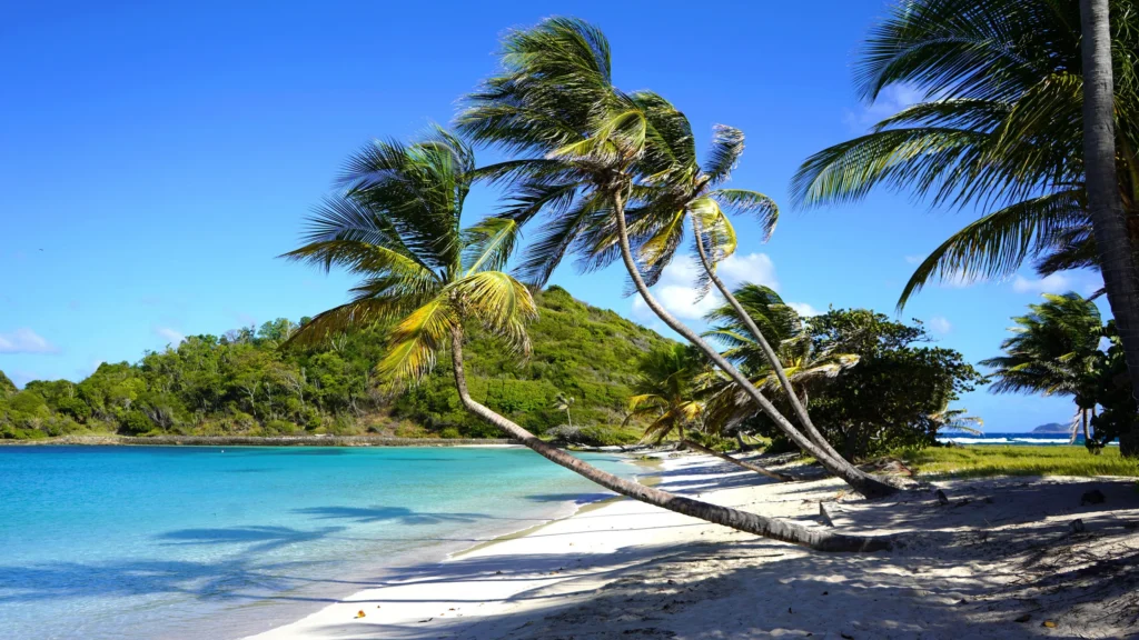 Luxury yacht anchored near Mayreau in the Grenadines, with crystal-clear waters, soft sandy beaches, and a peaceful island landscape.