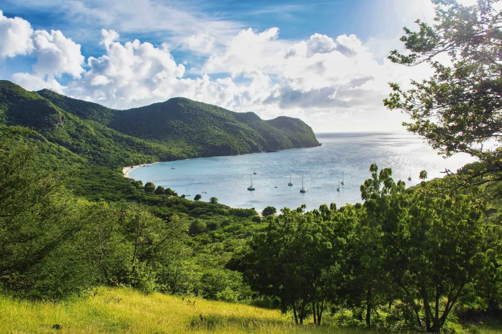 Luxury yacht anchored near Union Island in the Grenadines, with turquoise waters, palm-fringed shores, and dramatic mountainous backdrops.
