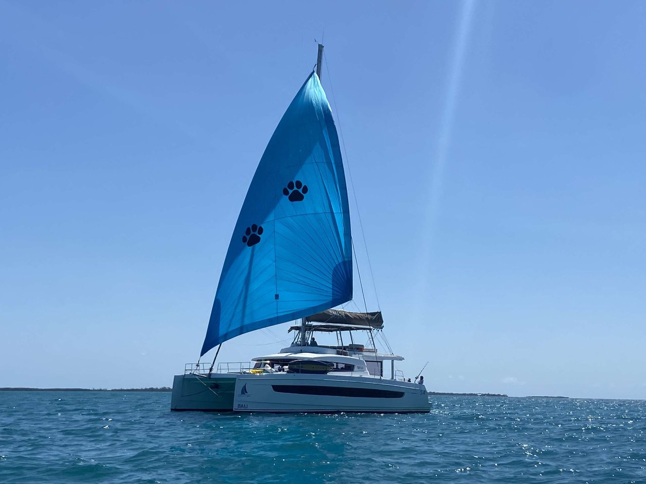 Charter Yacht NAUTI DOGS 5.4