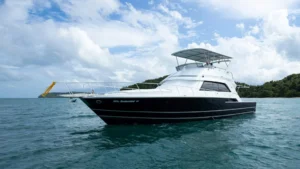 Charter Yacht ODYSSEY 2 Bertram 50